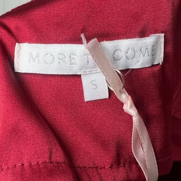 NWT Revolve’s More To Come Blaire Mini Dress Ruched Puff Sleeve Satin Red Sz S - Picture 8 of 9